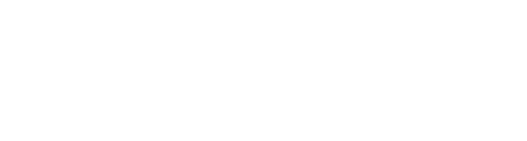 Commercial Loan