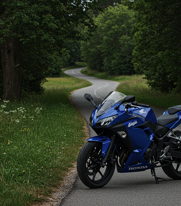 A blue-coloured Honda Ninja motorbike is parked on the street, surrounded by nature.